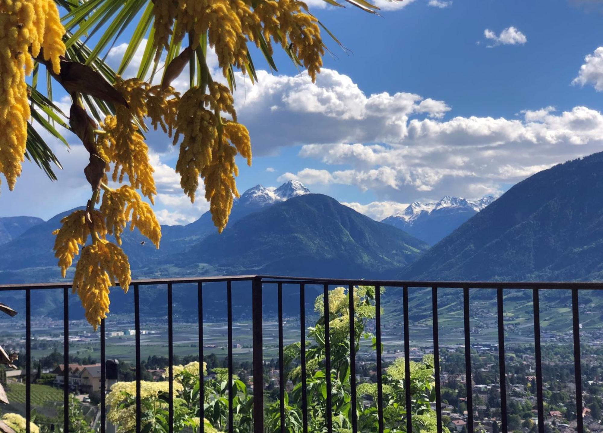 Aparthotel Der Blaue Reiter Schenna Exteriér fotografie